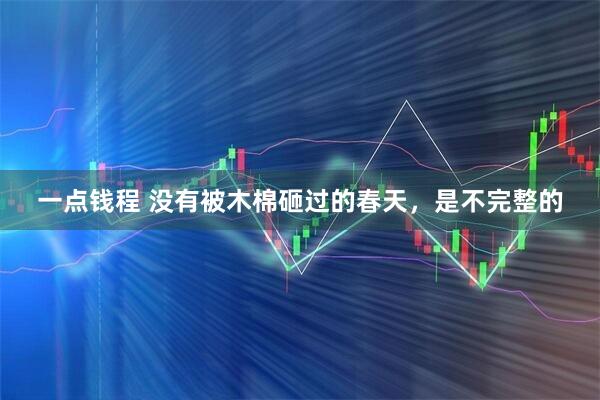 一点钱程 没有被木棉砸过的春天,是不完整的