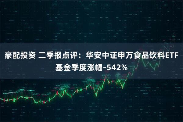 豪配投资 二季报点评：华安中证申万食品饮料ETF基金季度涨幅-542%