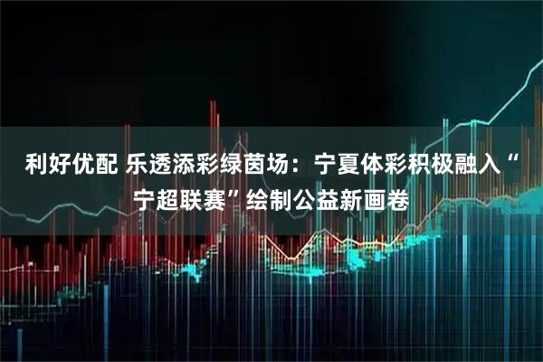 利好优配 乐透添彩绿茵场：宁夏体彩积极融入“宁超联赛”绘制公益新画卷