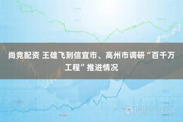 尚竞配资 王雄飞到信宜市、高州市调研“百千万工程”推进情况